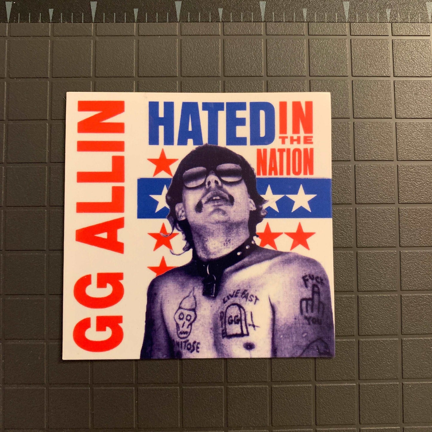 GG Allin Sticker Hated in the Nation Decal Punk Stickers UV and Water Resistant Punk Bank Stickers