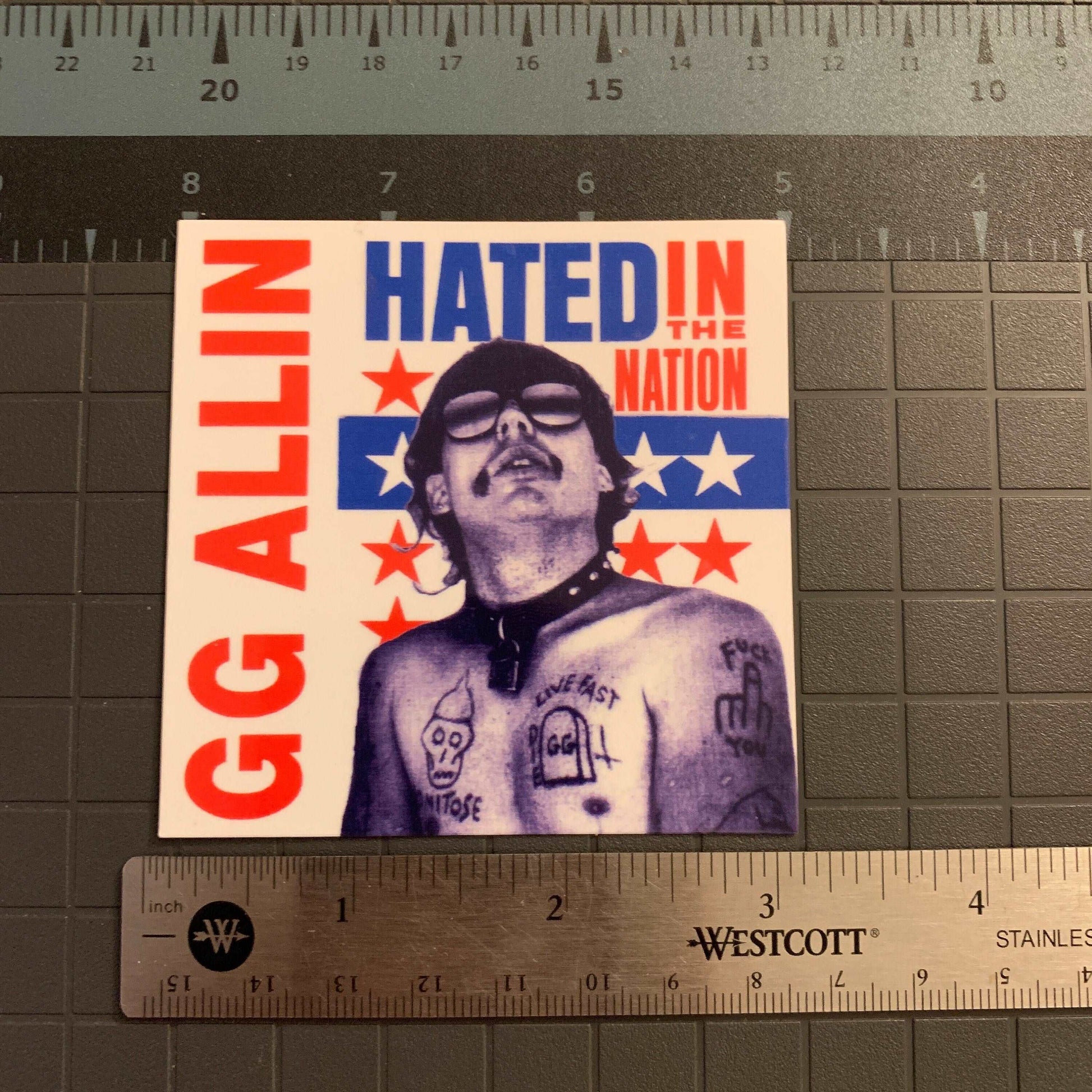 GG Allin Sticker Hated in the Nation Decal Punk Stickers UV and Water Resistant Punk Bank Stickers