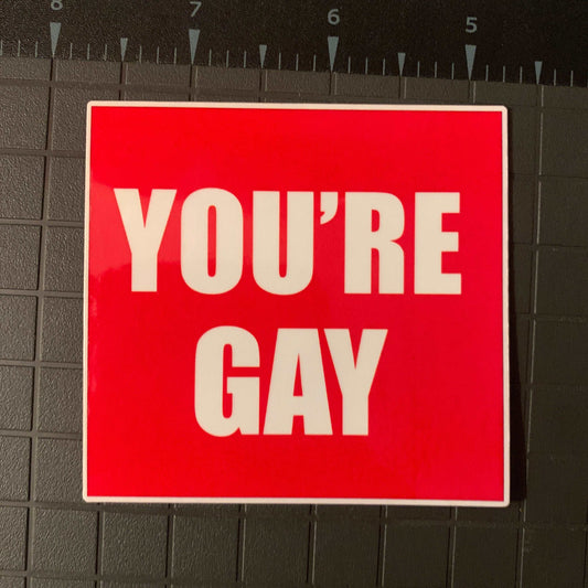 NEW "You're Gay" Sticker Funny Decals Premium Laminated Vinyl UV and Water Resistant Prank Sticker