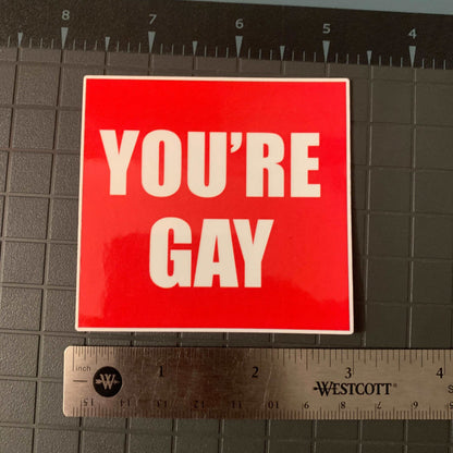 NEW "You're Gay" Sticker Funny Decals Premium Laminated Vinyl UV and Water Resistant Prank Sticker